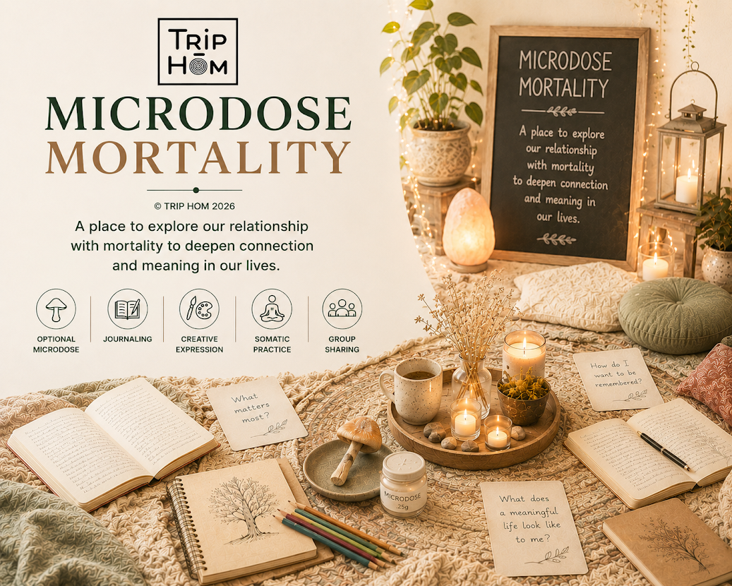 Microdose Mortality: A Reflective Workshop on Death, Meaning & Presence