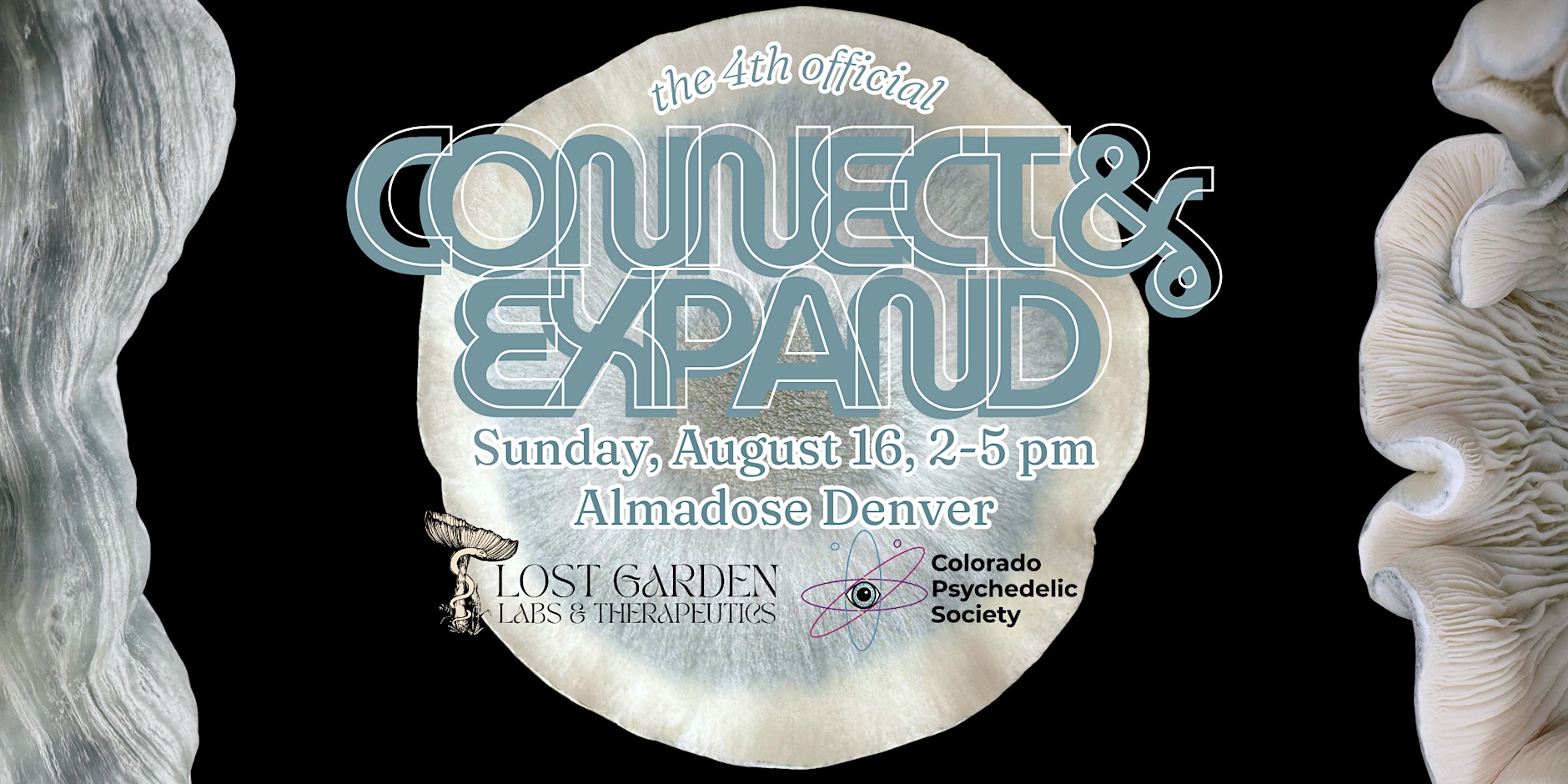 Connect & Expand with Lost Garden Labs